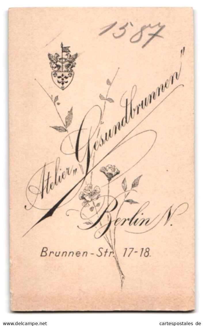Fotografie H. Greifenhagen, Berlin, Brunnen-Strasse 17-18, Dame Im Hochgeschlossenem Kleid Mit Blumen  - Personnes Anonymes