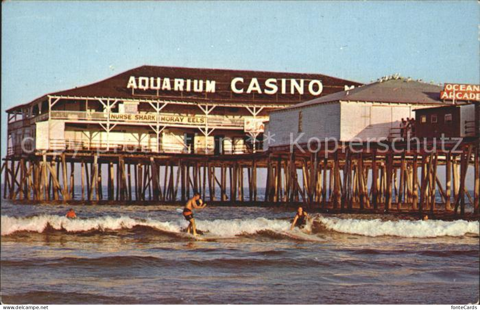 72167253 Maine Aquarium Casino Surfing Action At Old Orchard Beach - Altri & Non Classificati