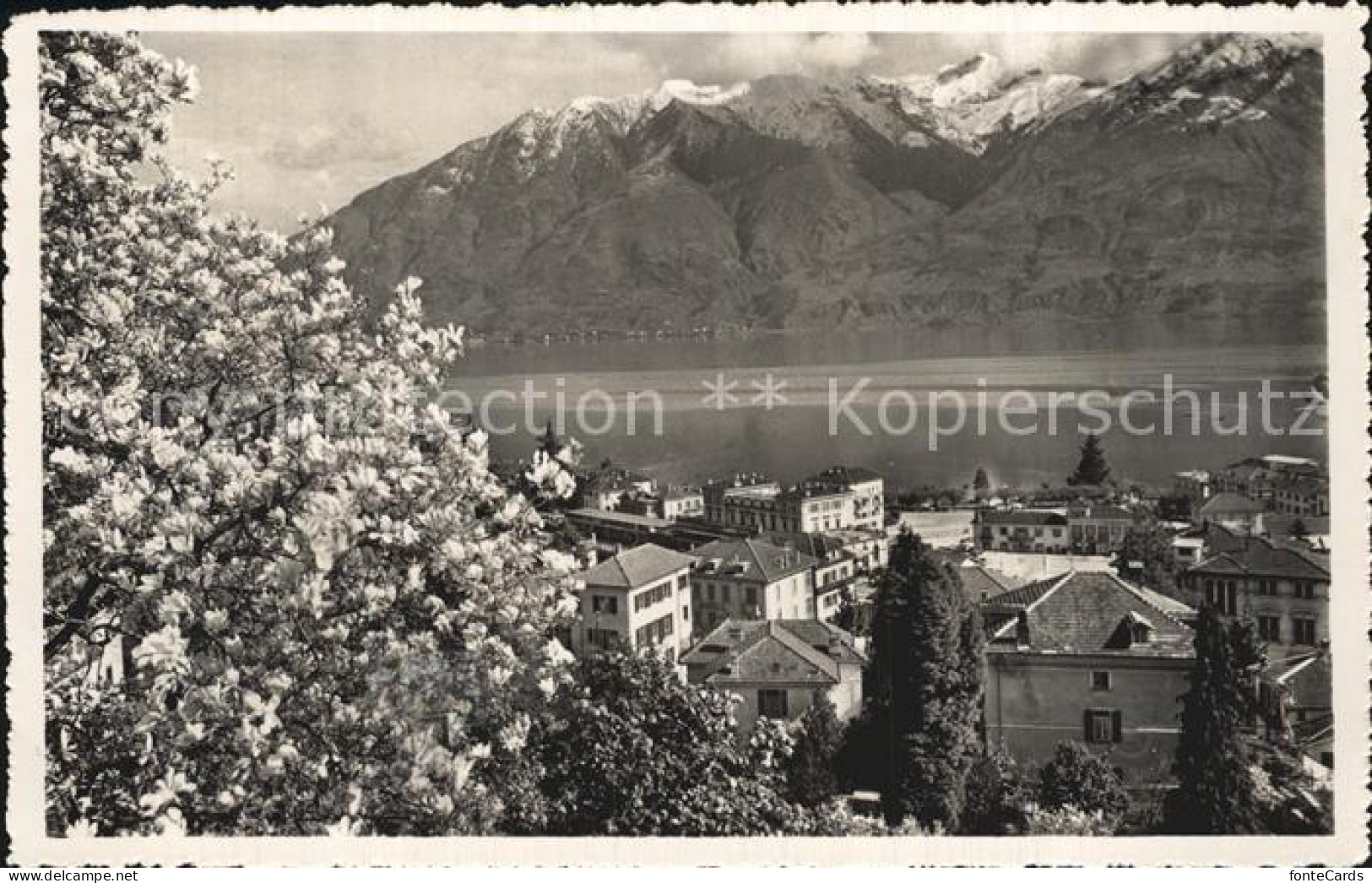 12471188 Locarno TI Panorama  - Andere & Zonder Classificatie