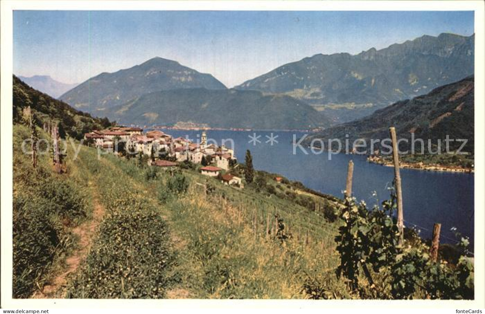 12471111 Lugano TI Albergo Della Roccia Lugano - Andere & Zonder Classificatie