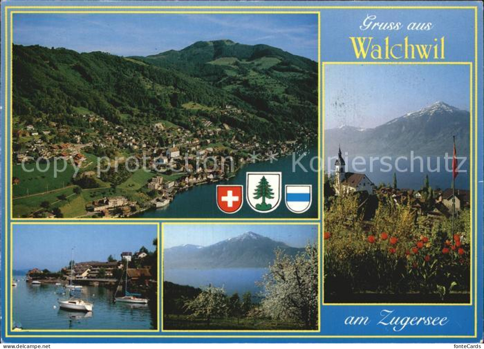 12468124 Walchwil Am Zugersee Fliegeraufnahme Teilansichten  Walchwil - Autres & Non Classés