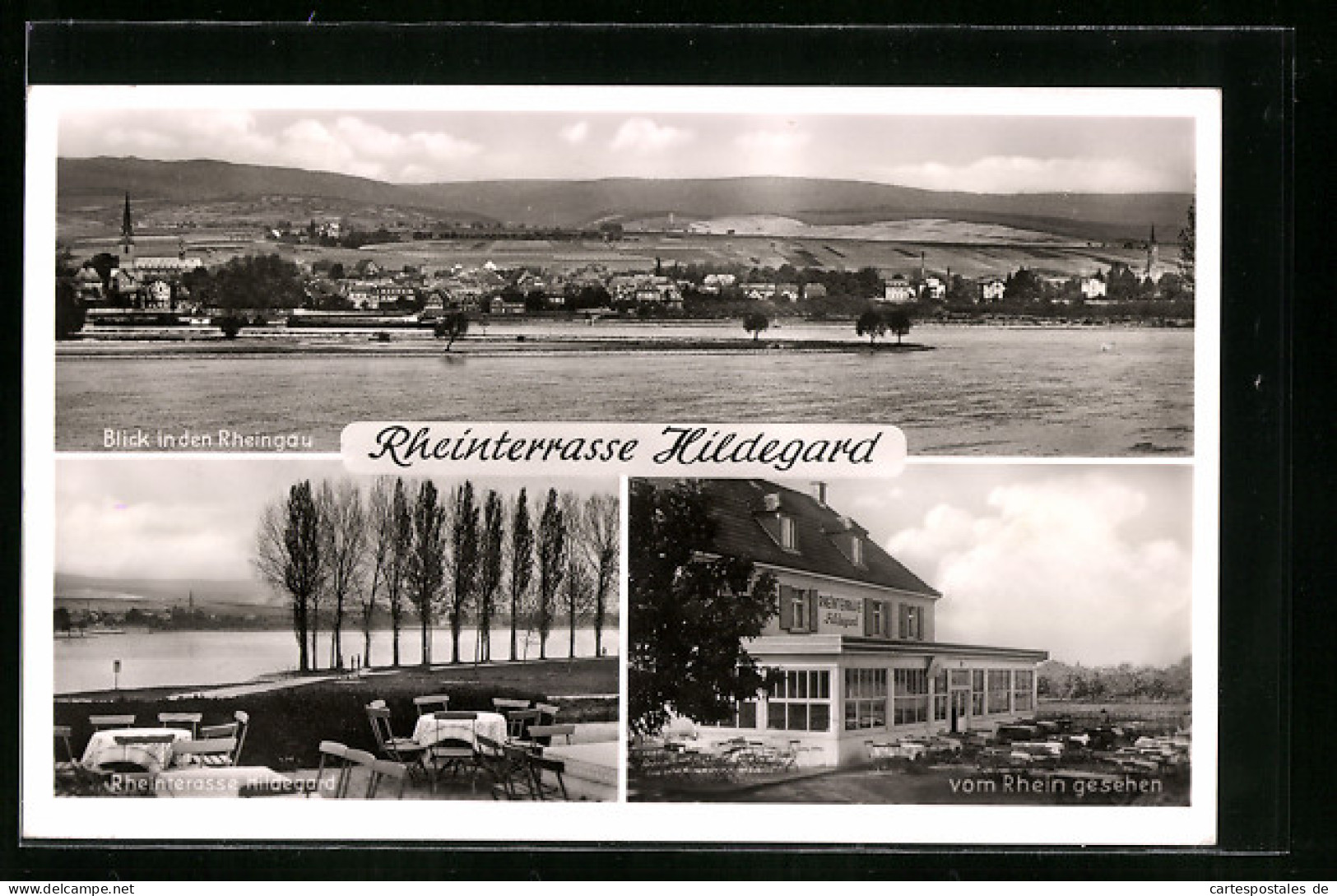 AK Heidesheim-Heidenfahrt, Gasthaus Rheinterrasse Hildegard, Blick In Den Rheingau  - Sonstige & Ohne Zuordnung