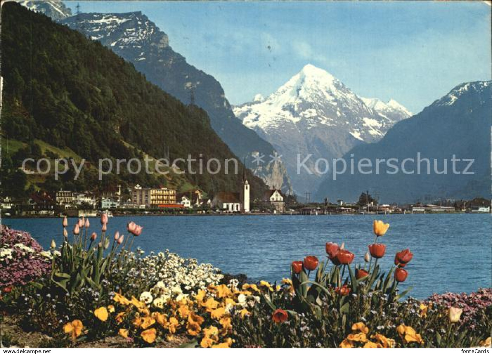 12467172 Flueelen UR Blumenpracht Am Vierwaldstaettersee Bristenschock Urner Alp - Andere & Zonder Classificatie