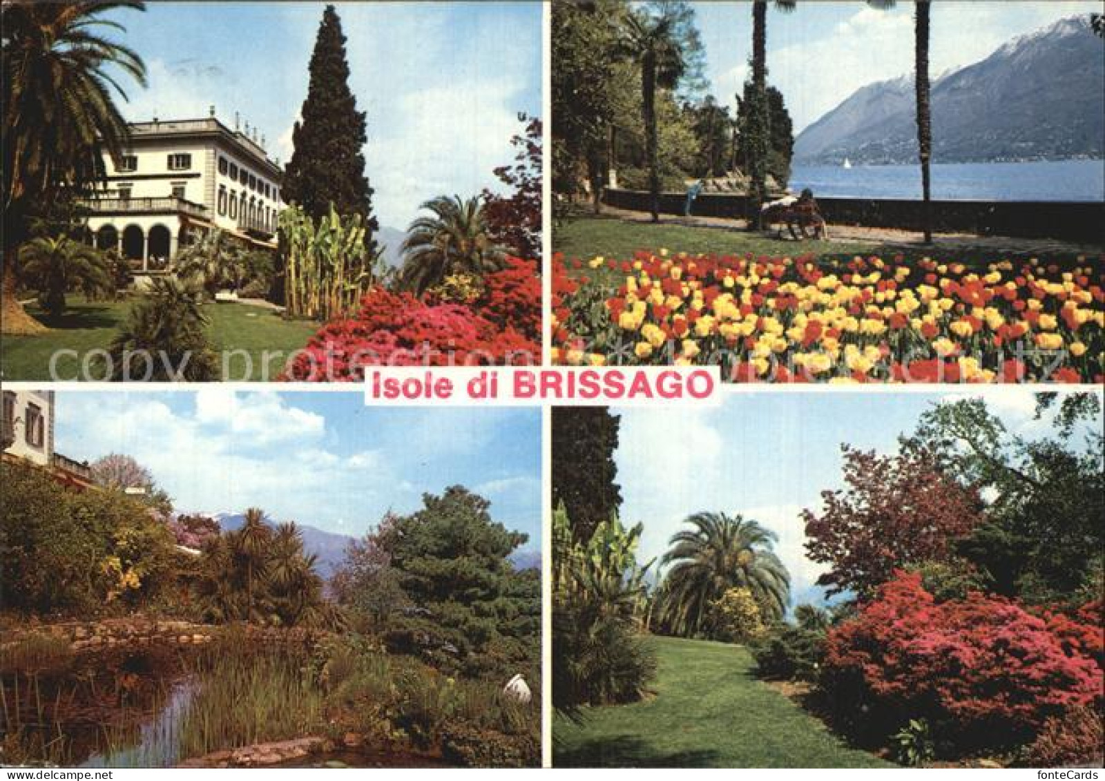 12467143 Isole Di Brissago Villa Teich Park Uferpromenade Lago Maggiore Isole Di - Sonstige & Ohne Zuordnung