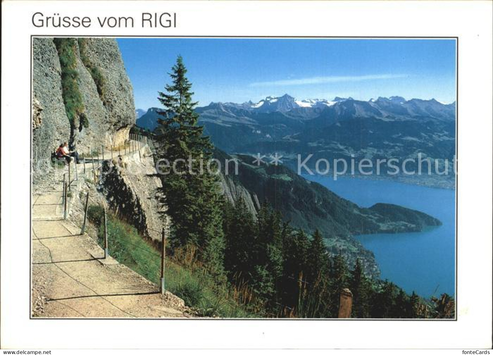 12467032 Rigi Felsenweg Bick Auf Vitznau Urner Und Nidwalder Alpen Vierwaldstaet - Autres & Non Classés