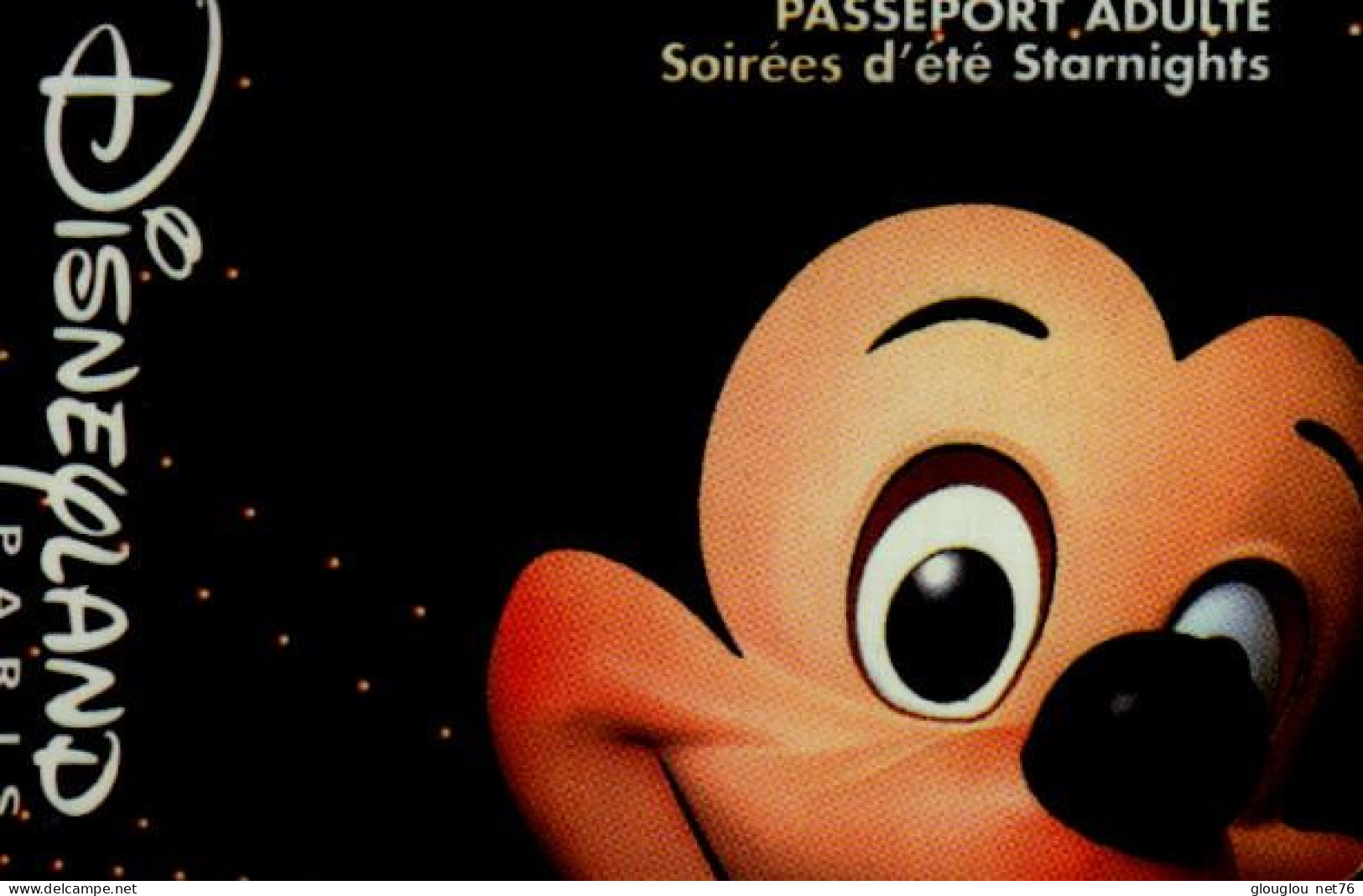PASSEPORT DISNEY... ADULTE ...SOIREES D'ETE STARNIGHTS - Passaporti  Disney