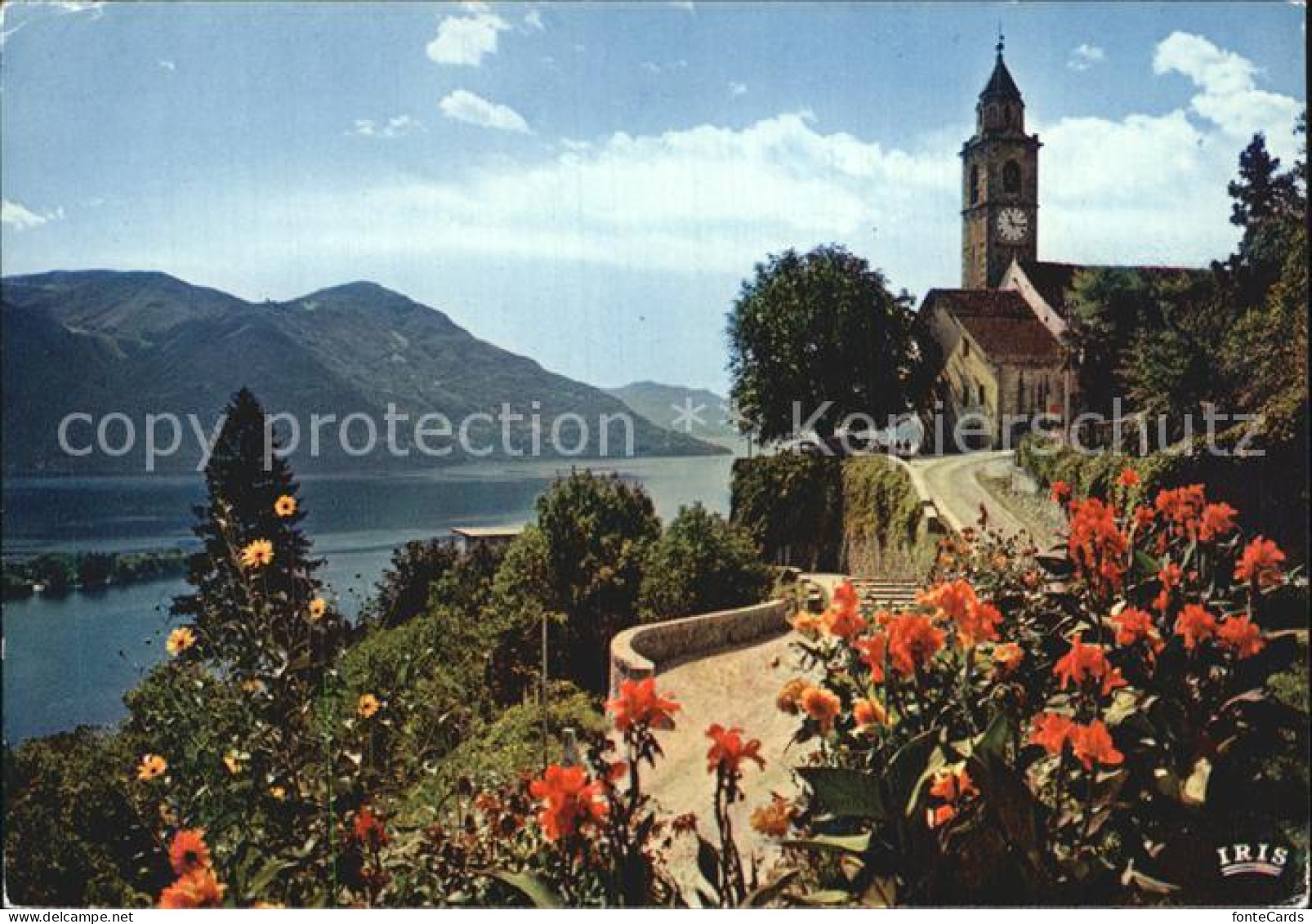 12459713 Ronco Sopra Ascona Lago Maggiore Kirche Panorama Locarno - Sonstige & Ohne Zuordnung