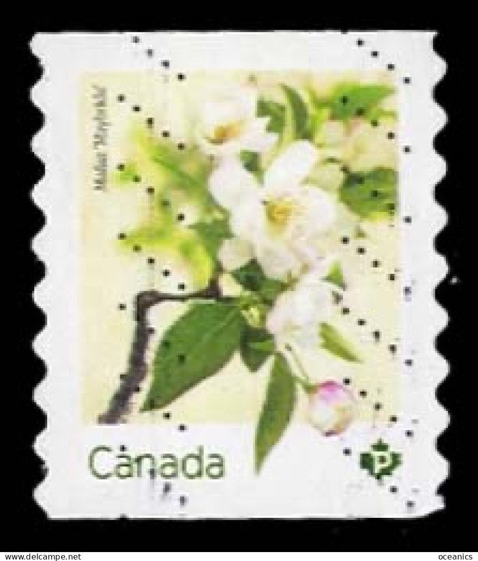 Canada (Scott No.3282 - Crabapple Blossoms) (o) Coil - Usati