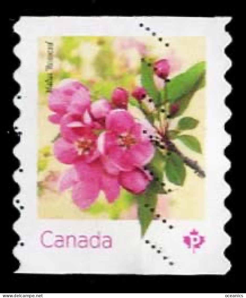 Canada (Scott No.3283 - Crabapple Blossoms) (o) Coil - Usados