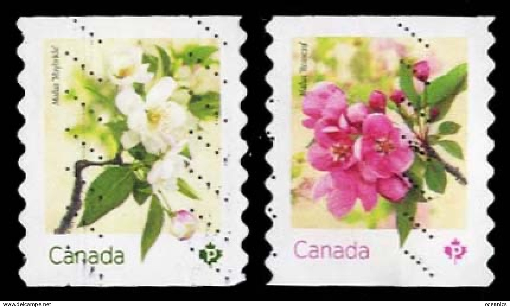 Canada (Scott No.3282-83 - Crabapple Blossoms) (o) Coil Pair - Used Stamps