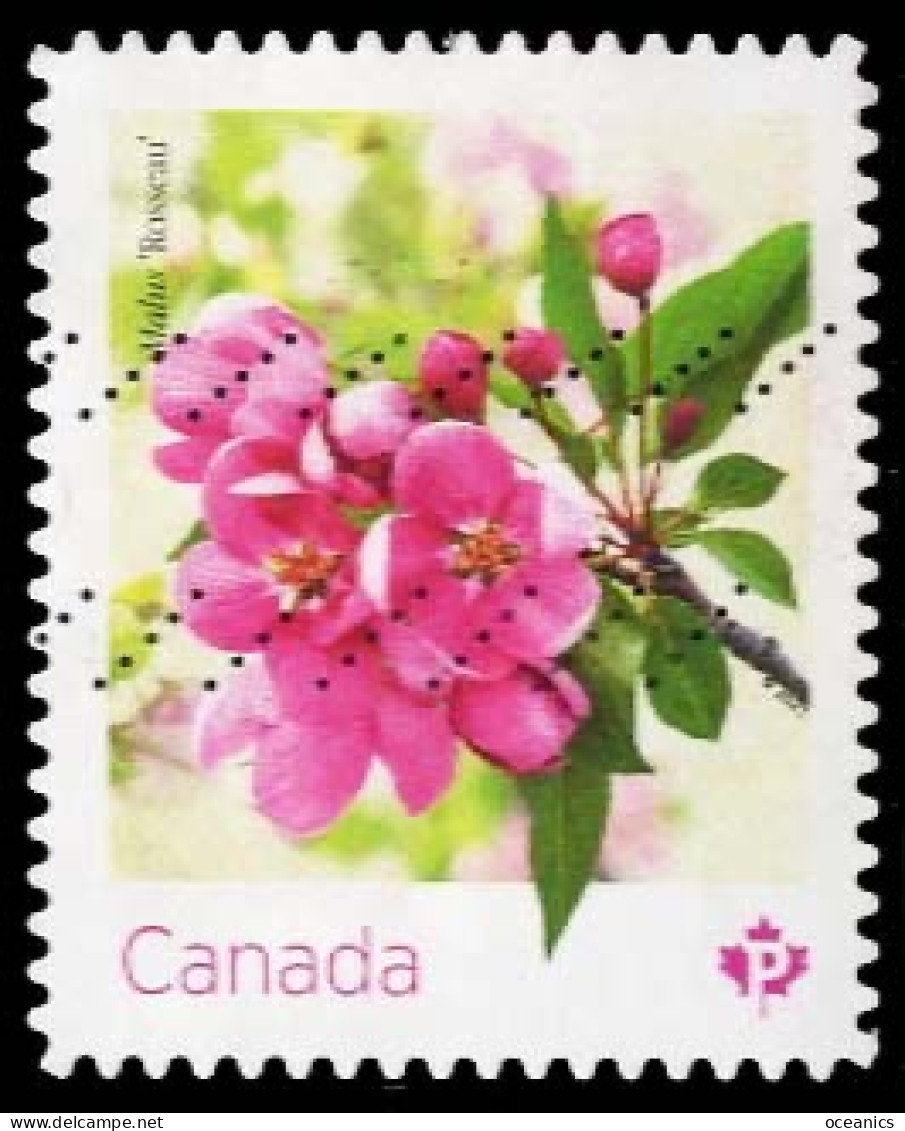 Canada (Scott No.3284 - Crabapple Blossoms) (o) Bk - Used Stamps