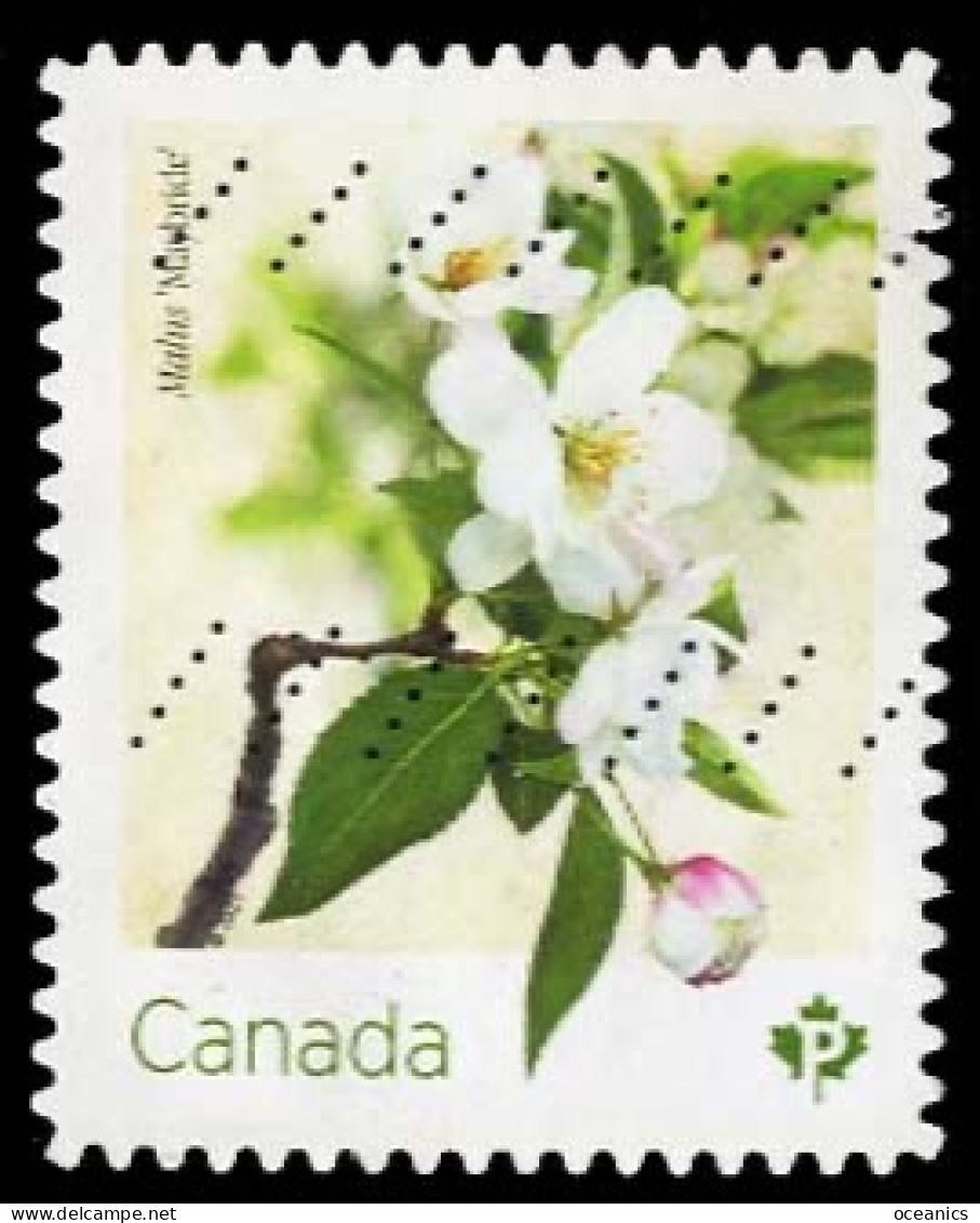 Canada (Scott No.3285 - Crabapple Blossoms) (o) Bk - Usati
