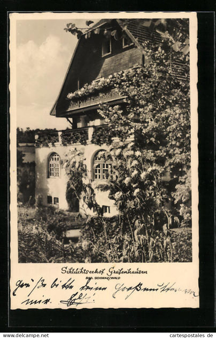 AK Grafenhausen I. Bad Schwarzwald, Blick Zum Gasthaus Schlüchtseehof  - Autres & Non Classés