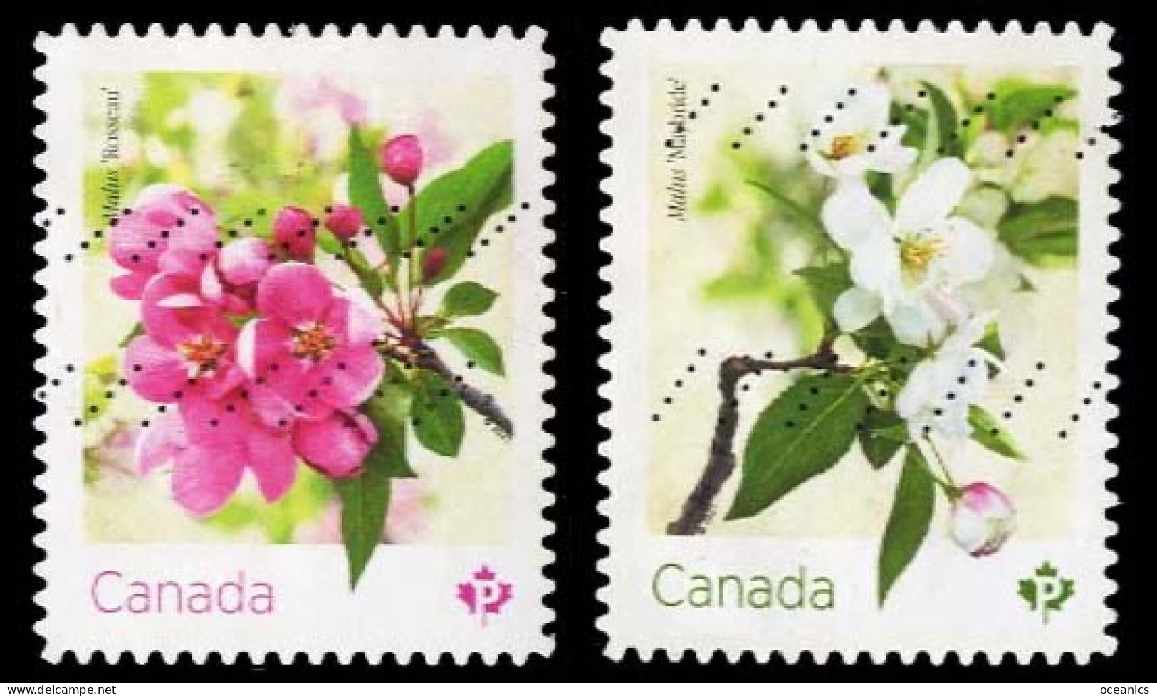 Canada (Scott No.3284-85 - Crabapple Blossoms) (o) Bk Pair - Used Stamps