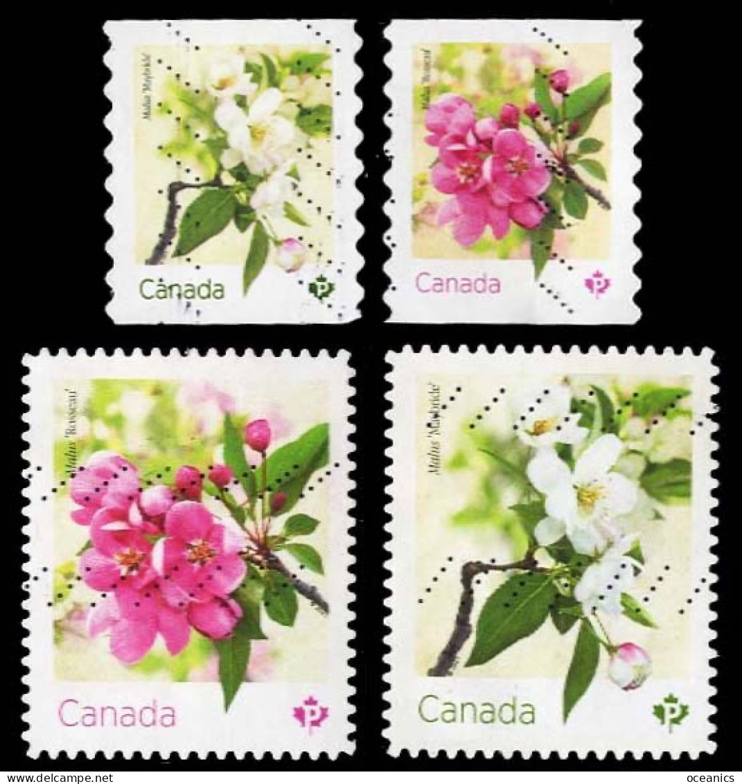 Canada (Scott No.3284-85 - Crabapple Blossoms) (o) Coil Pair + Bk Pair - Used Stamps