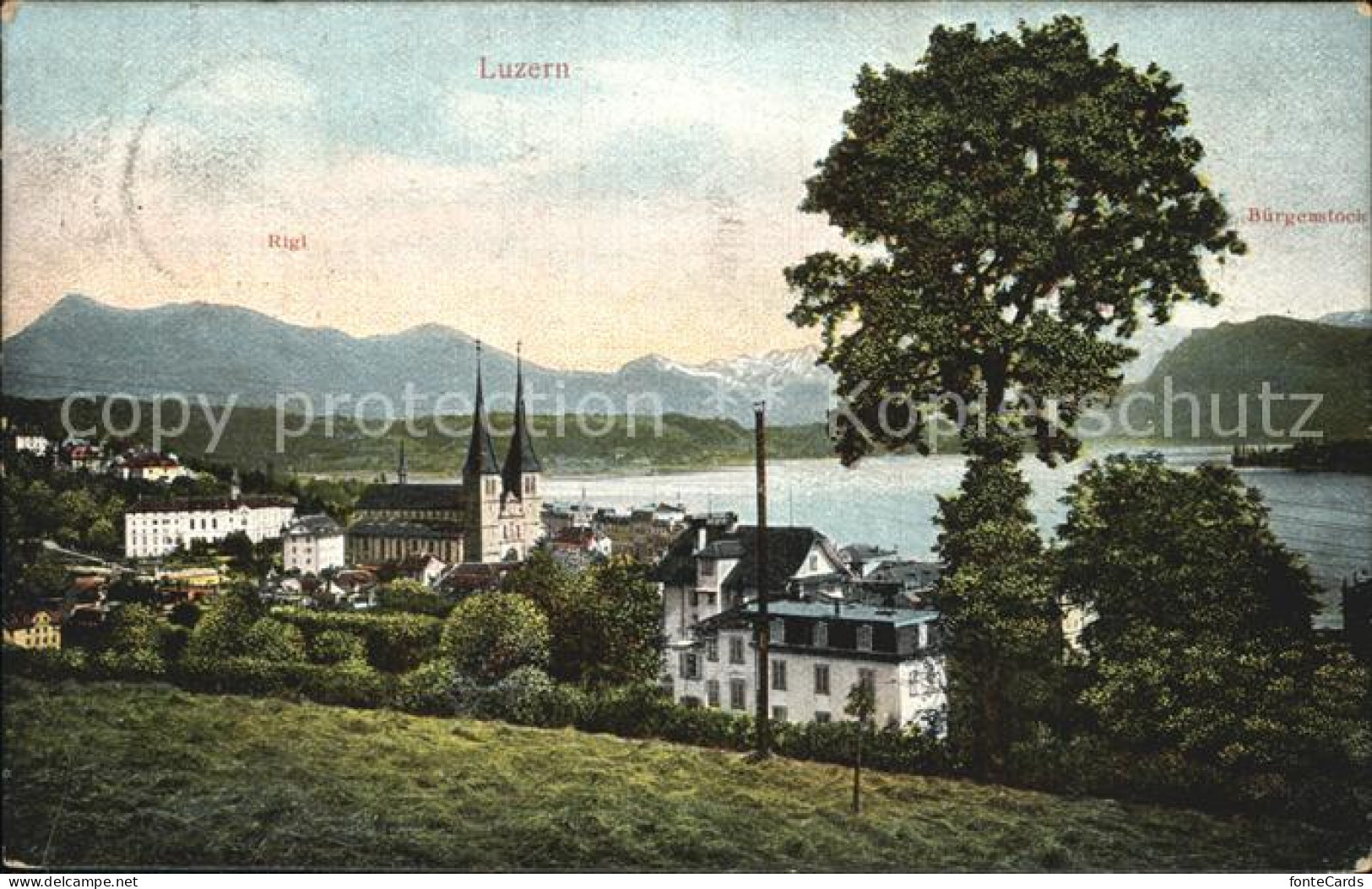 12459418 Luzern LU Buergenstock Rigi Luzern - Other & Unclassified