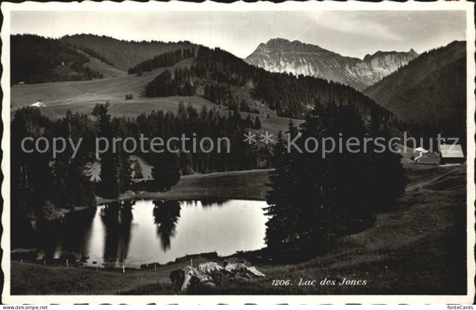 12459292 Les Paccots Lac Des Joncs Les Paccots - Other & Unclassified