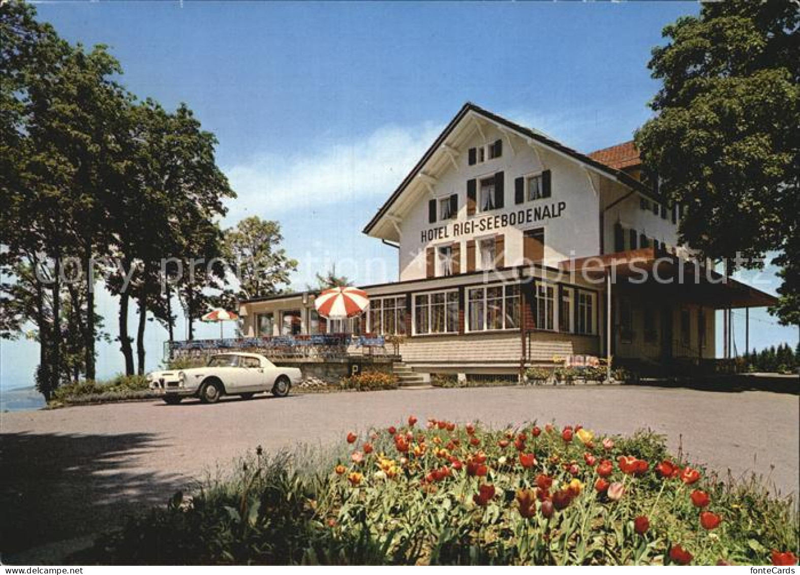 12458704 Kuessnacht Hotel Rigi Seebodenalp Kuessnacht Am Rigi - Andere & Zonder Classificatie