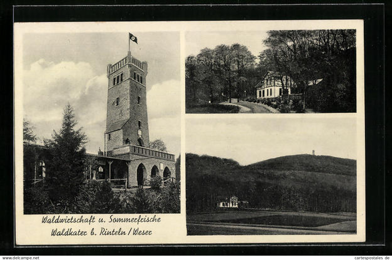 AK Rinteln /Weser, Waldwirtschaft Und Sommerfrische Waldkater, Aussichtsturm  - Rinteln