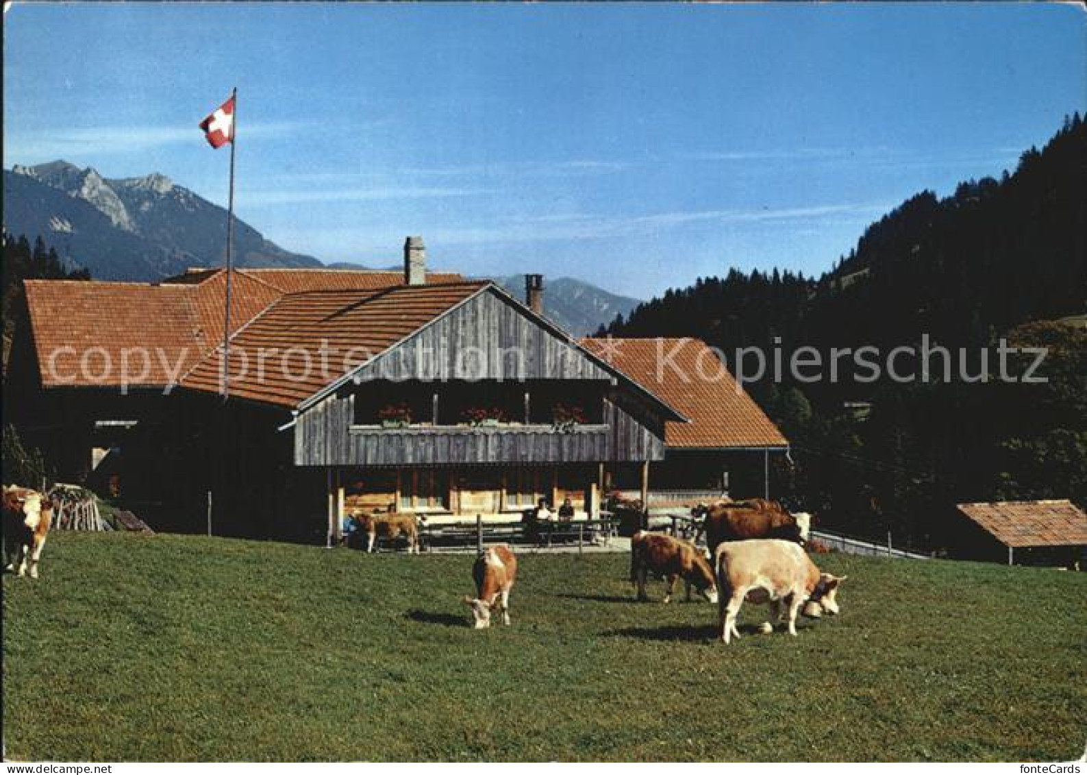 12457858 Oberwil Simmental Berggasthaus Rossberg Oberwil Simmental - Autres & Non Classés