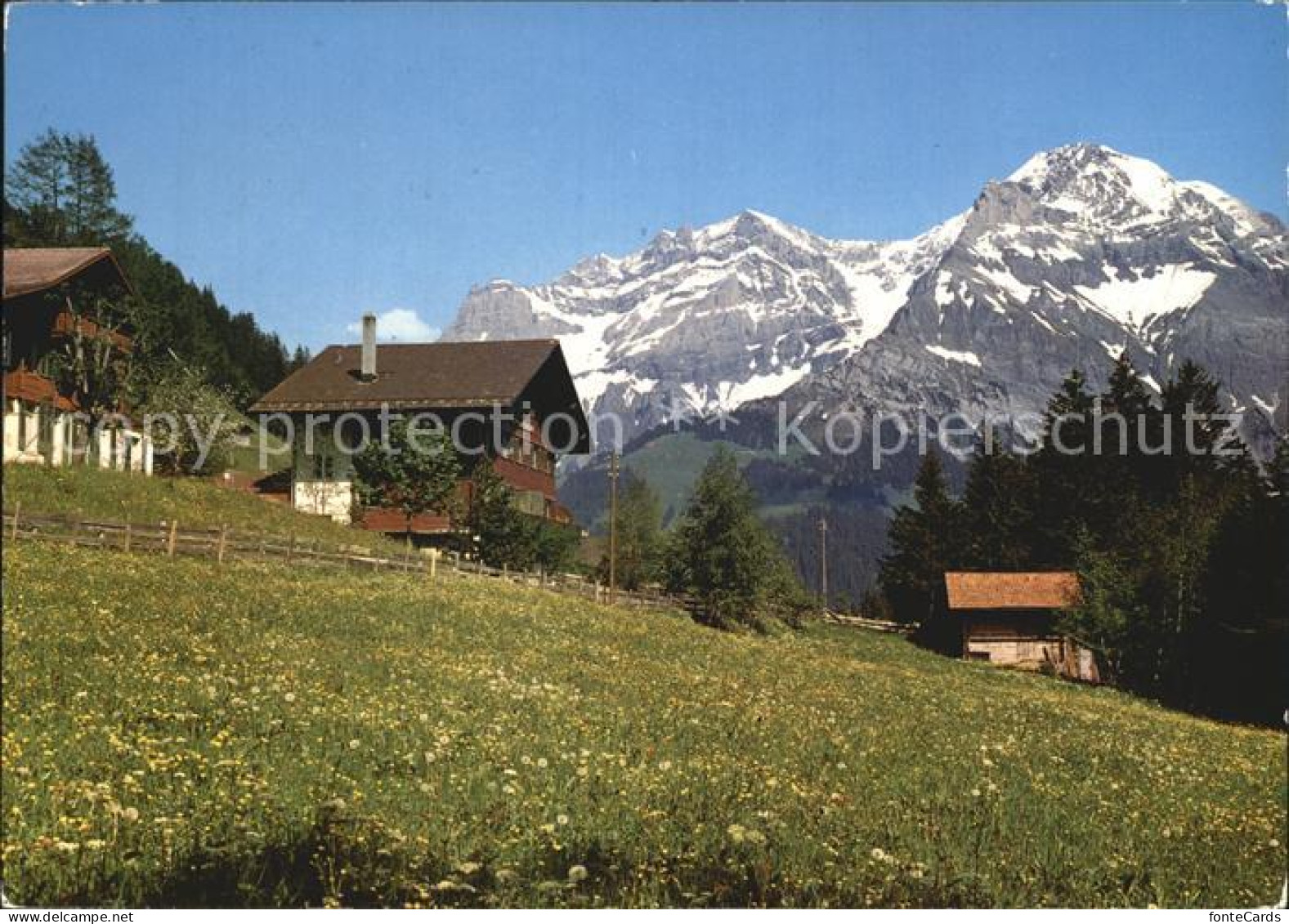 12457852 Stiegelschwand Adelboden Jugendhaus Heilsarmee Grosslohner Adelboden - Autres & Non Classés