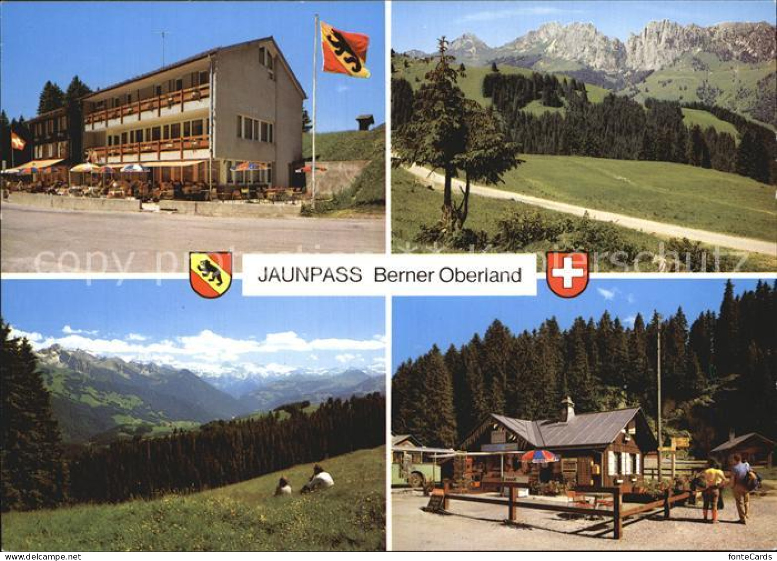 12456814 Jaunpass Hotel Des Alpes Teilansicht Jaunpass - Autres & Non Classés