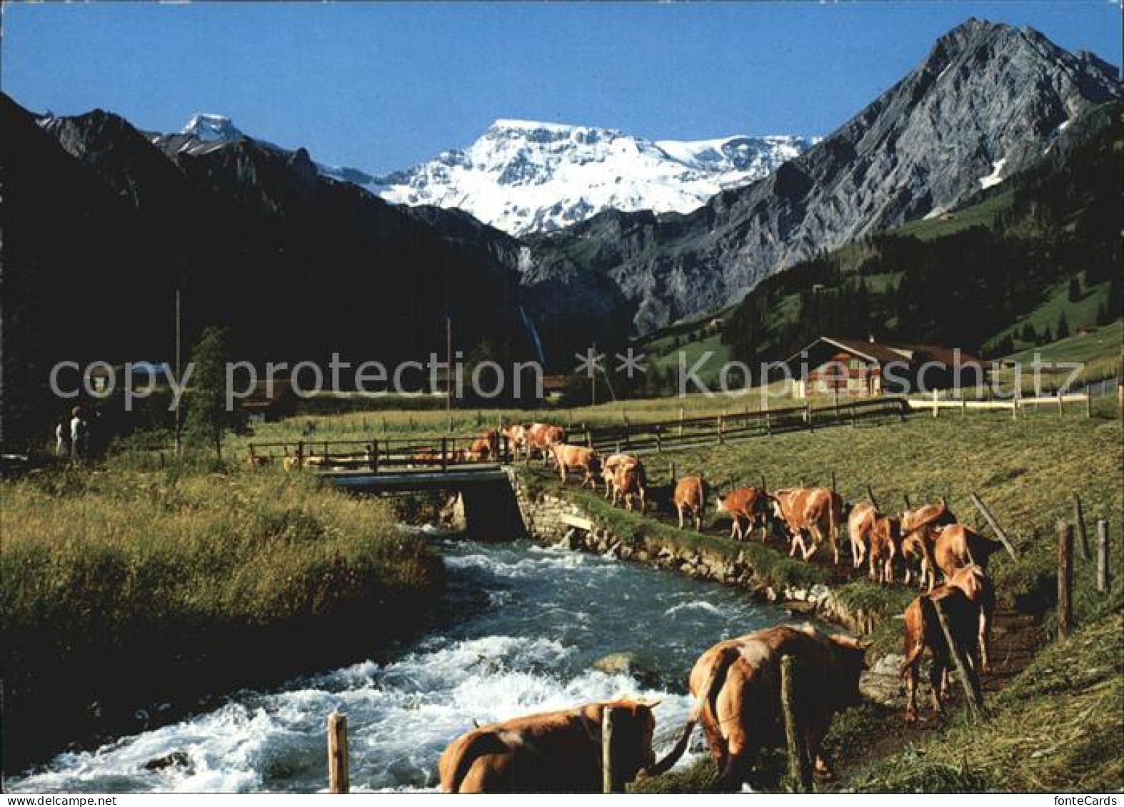 12456801 Adelboden Alpaufzug Engstligenbach Mit Wildstrubel Adelboden BE - Autres & Non Classés