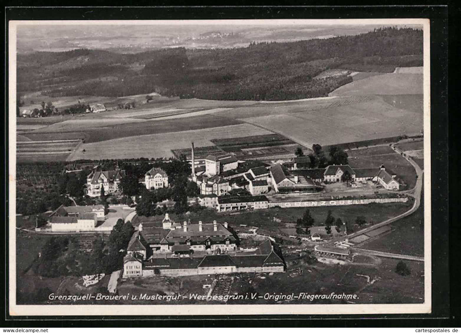 AK Wernesgrün I. V., Grenzquell-Brauerei Und Mustergut, Fliergeraufnahme  - Other & Unclassified