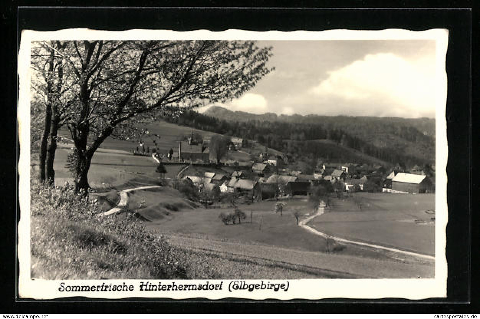 AK Hinterhermsdorf (Elbgebirge), Gesamtansicht Von Einem Berg Aus  - Hinterhermsdorf