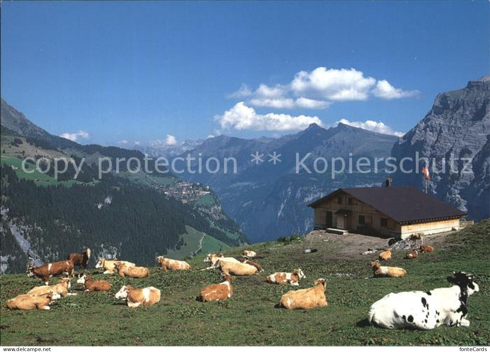 12453553 Muerren BE Busenalp Maennlichen Tschuggen Lauberhorn Schwarzmoench Muer - Sonstige & Ohne Zuordnung