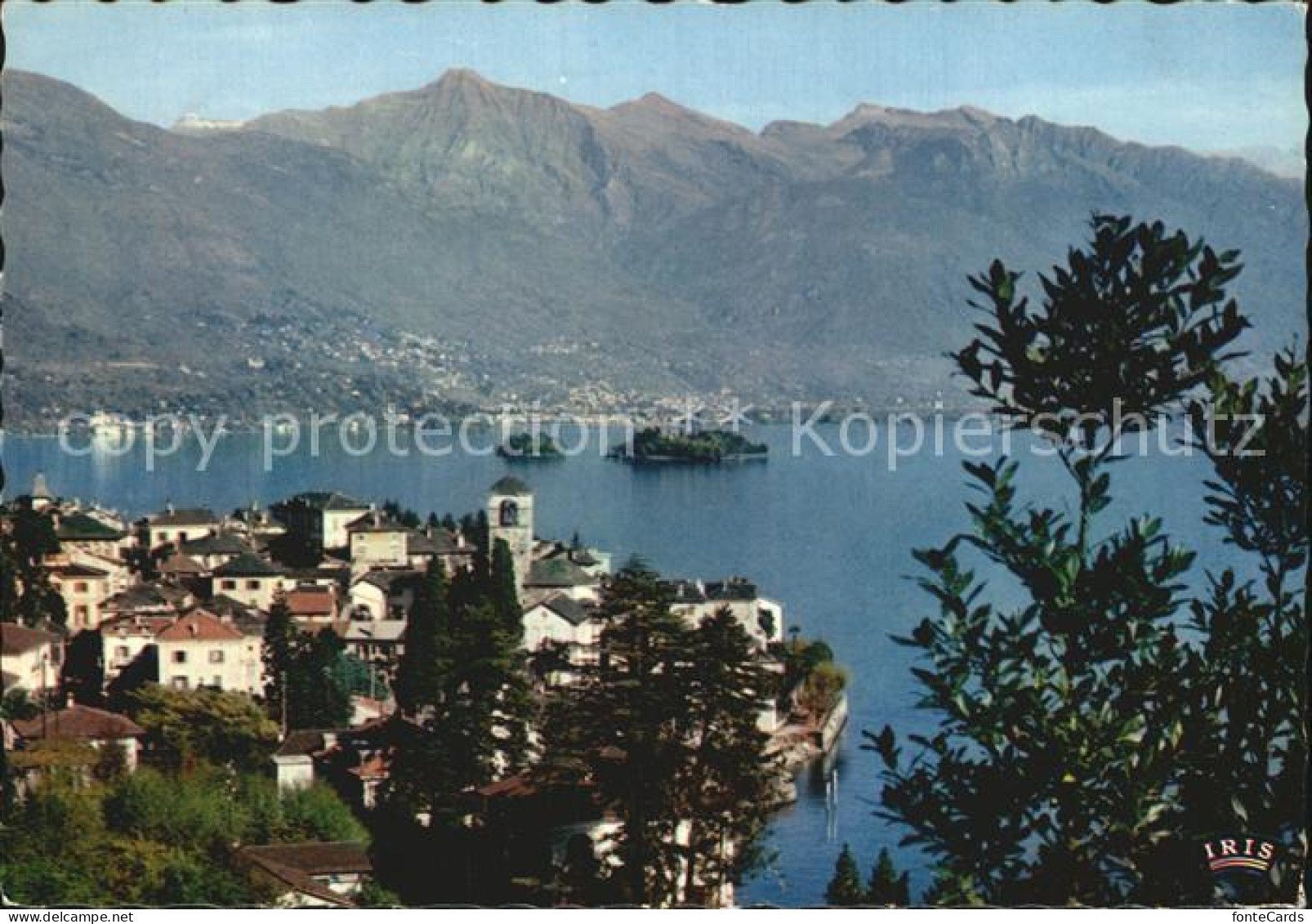 12453550 Brissago TI Lago Maggiore Brissago - Other & Unclassified
