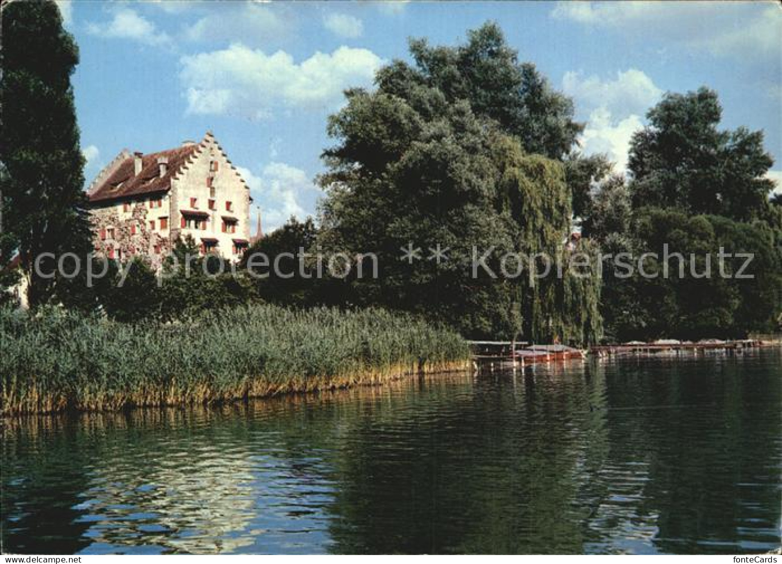 12447498 Greifensee Partie Am See Greifensee - Sonstige & Ohne Zuordnung