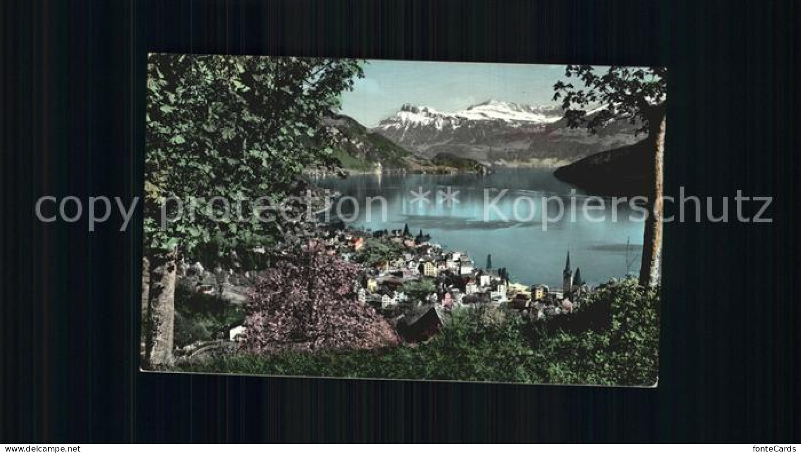 12447070 Weggis Vierwaldstaettersee Panorama Vierwaldstaettersee Alpen Weggis - Andere & Zonder Classificatie