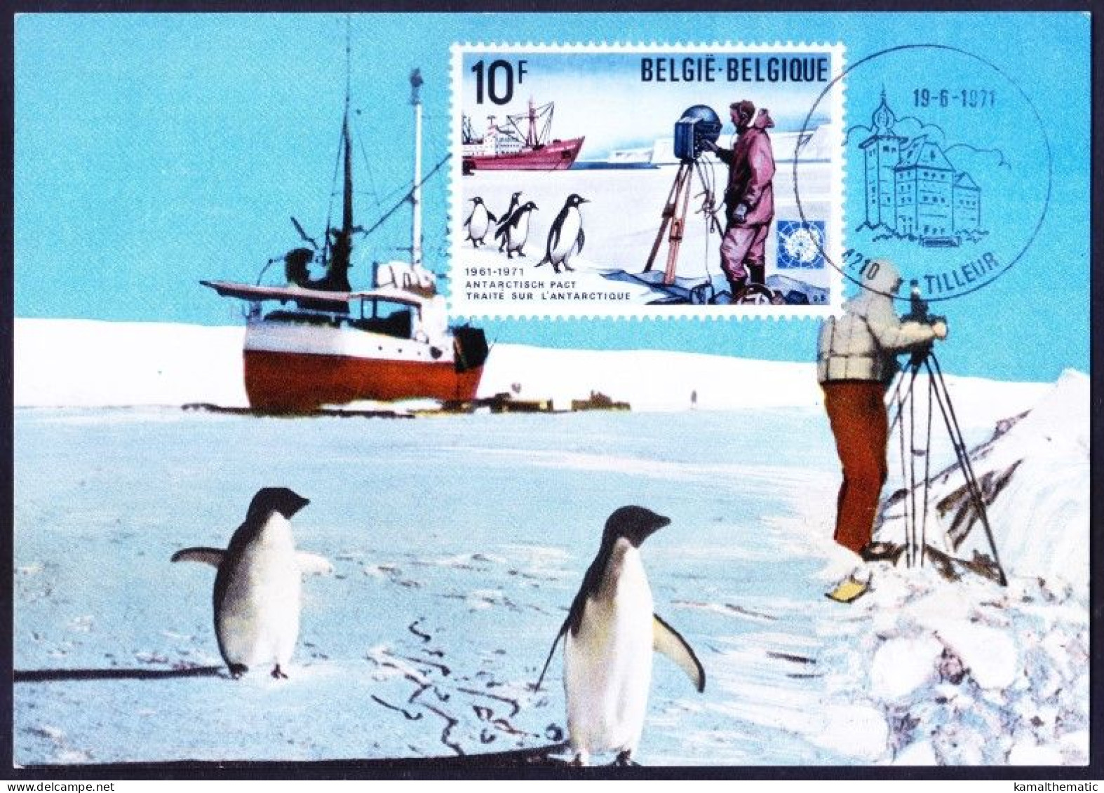 Belgium 1971 Maxi Card, Adelie Penguin, Treatise On Antarctica - 1971-1980
