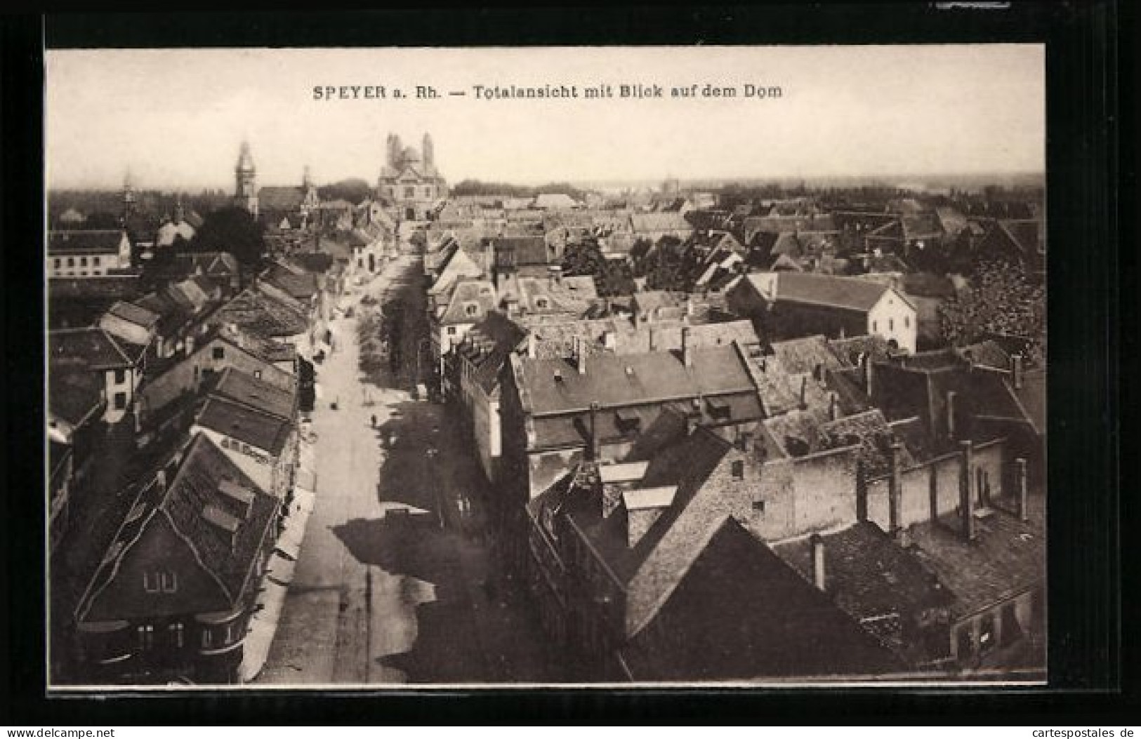 AK Speyer A. Rh., Totalansicht Mit Blick Auf Dem Dom  - Speyer