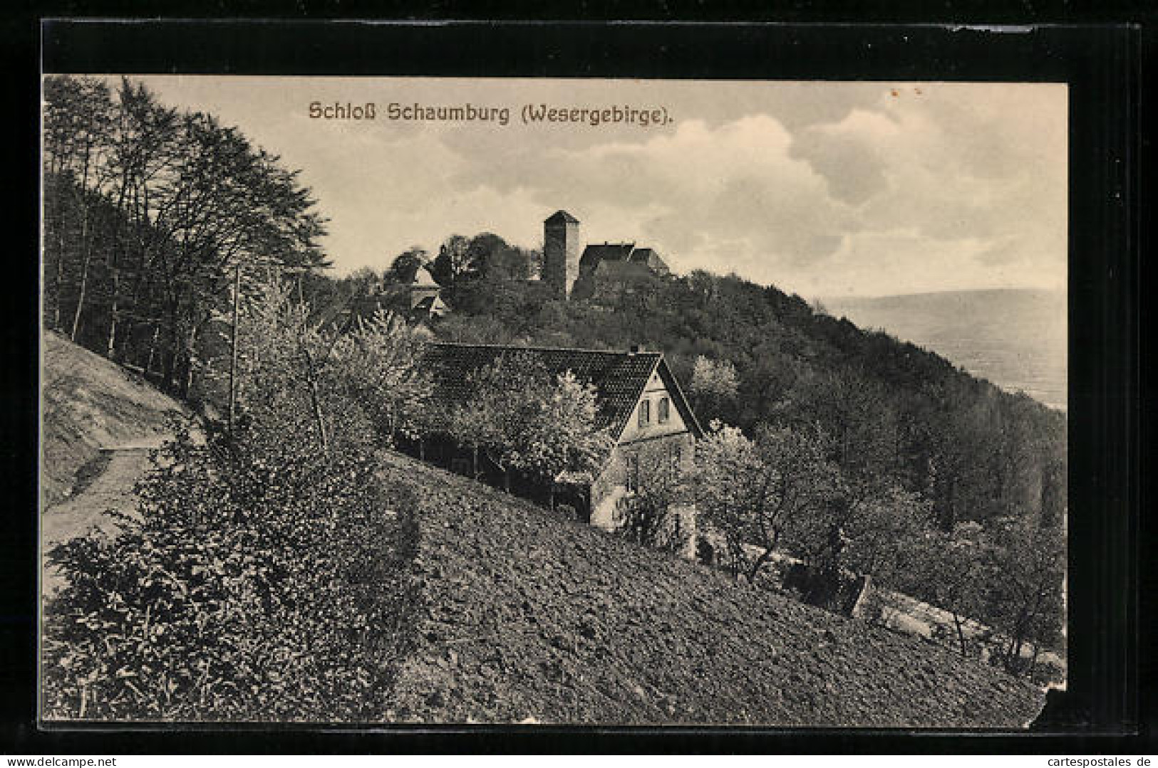 AK Schaumburg (Wesergebirge), Ortsansicht Mit Schloss  - Schaumburg