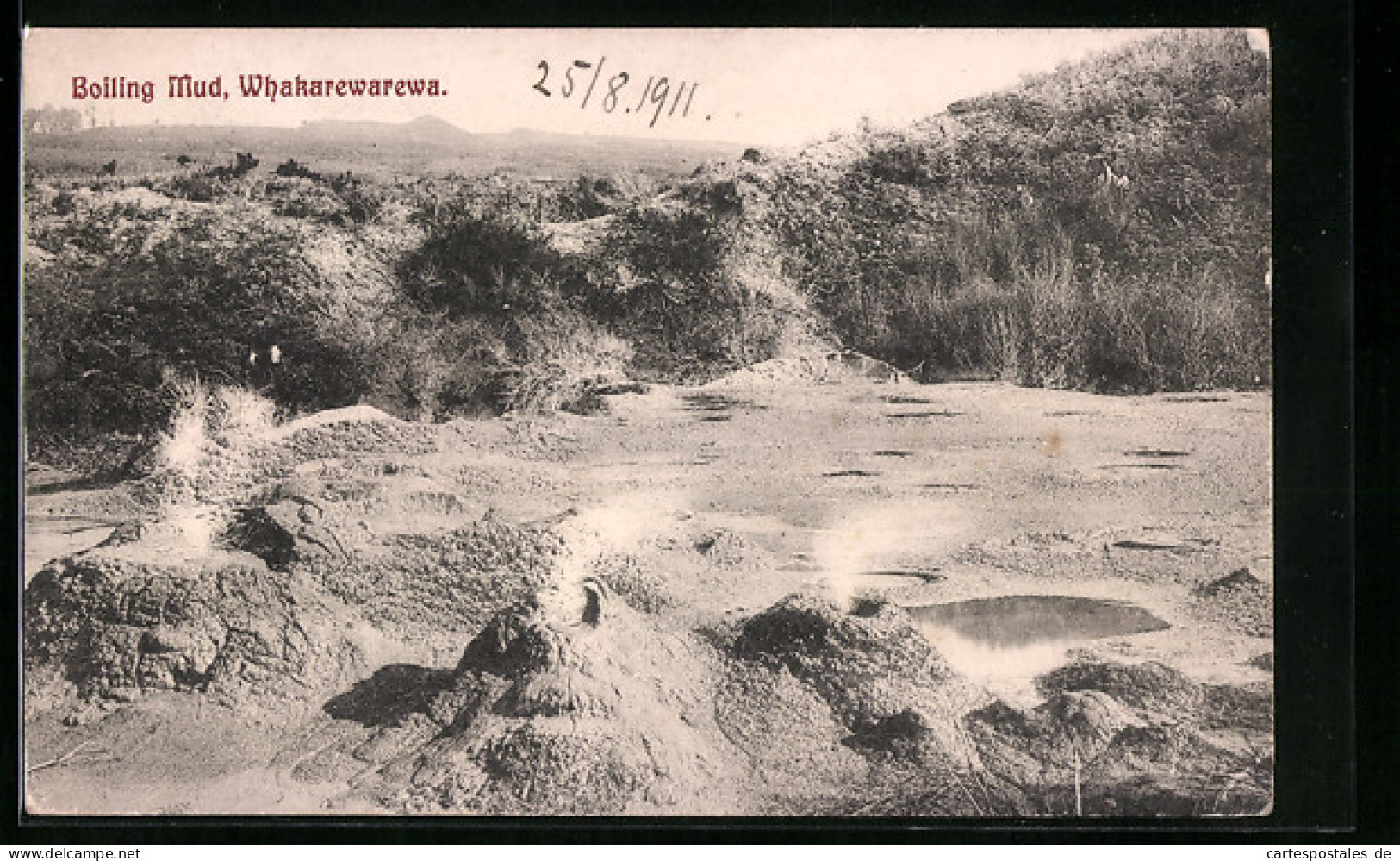 AK Neuseeland, Boiling Mud, Whakarewarewa  - New Zealand