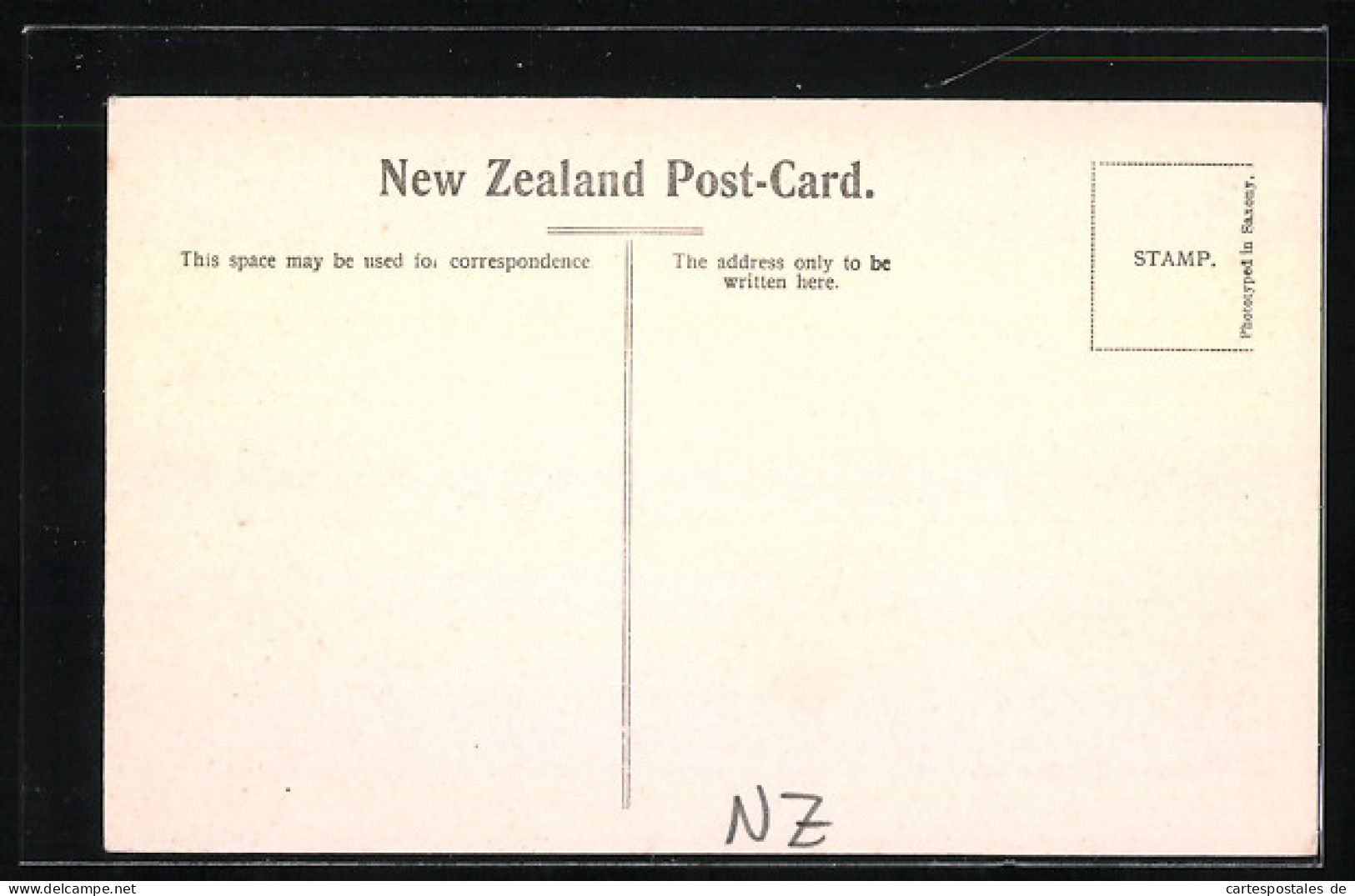 AK Neuseeland, Swans, Oamaru Gardens  - Nuova Zelanda