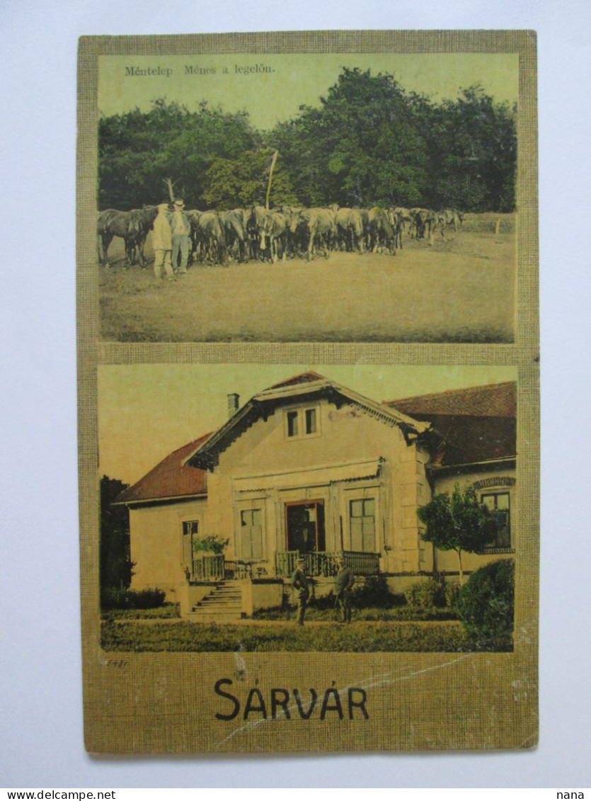 Rare! Hungary-Sarvar Carte Pos.voyage Vers 1920/Postcard Mailed 20s - Hongarije