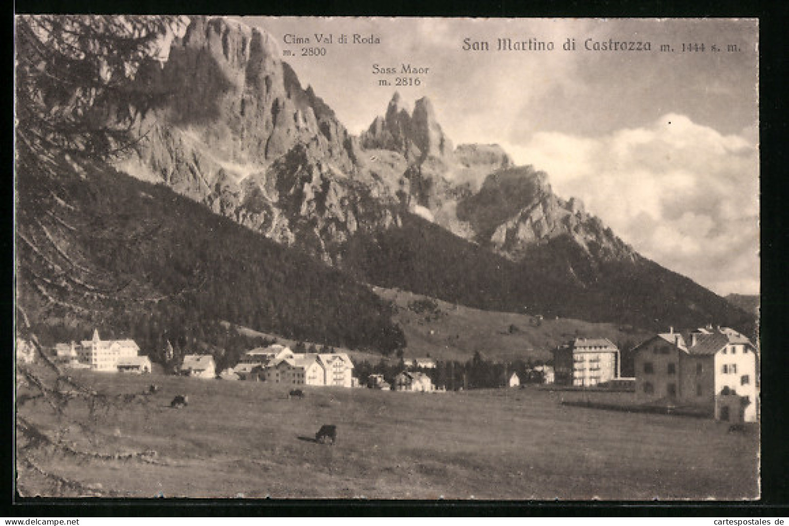 Cartolina San Martino Di Castrozza, Ortsansicht Mit Cima Val Di Roda Und Sass Maor  - Andere & Zonder Classificatie