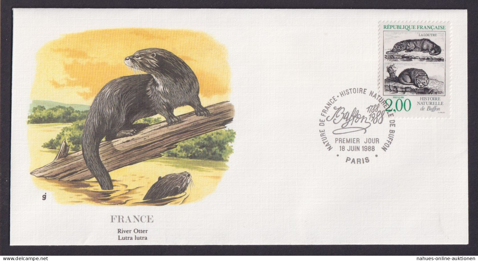 Frankreich France Fauna Otter Schöner Künstler Brief - Covers & Documents