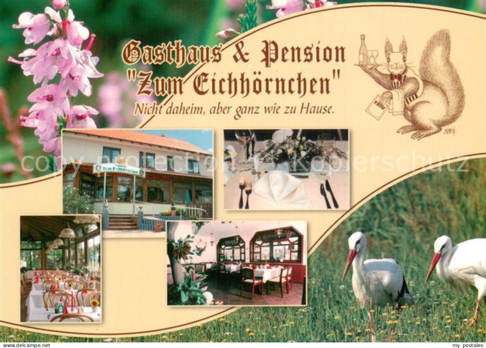 73743606 Reichenhain Gasthaus Pension Zum Eichhoernchen Gastraeume Stoerche Reic - Prösen