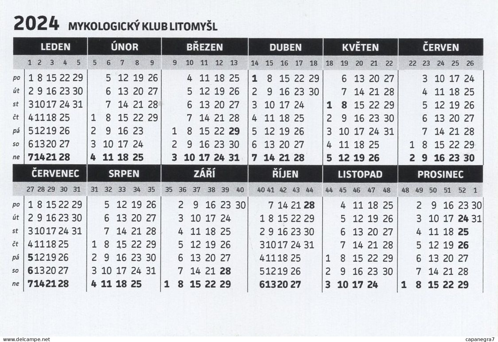 Lacrymaria Lacrymabunda, MK Litomyšl, Czech Rep., 90 X 60 Mm, 2024 - Kleinformat : 2001-...