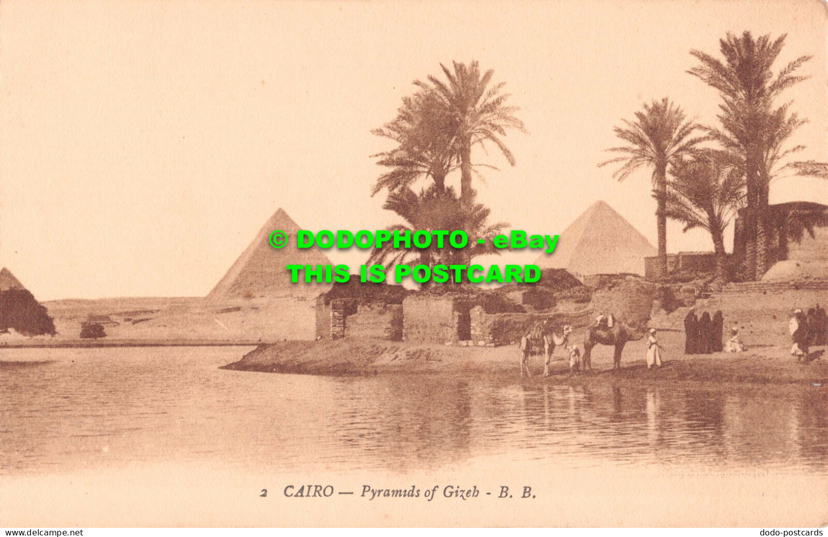 R545650 2. Cairo. Pyramids Of Gizeh. B. B. Caire. Pyramides De Guizeh. B. B - Monde