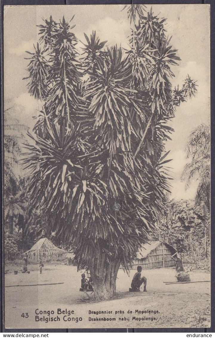 Congo Belge - EP "Dragonnier Près De Mopolenge" CP 5c Vert Càd KINSHASA /31 AOUT 1917 Pour PWETO - Càd Arrivée KONGOLO - Interi Postali