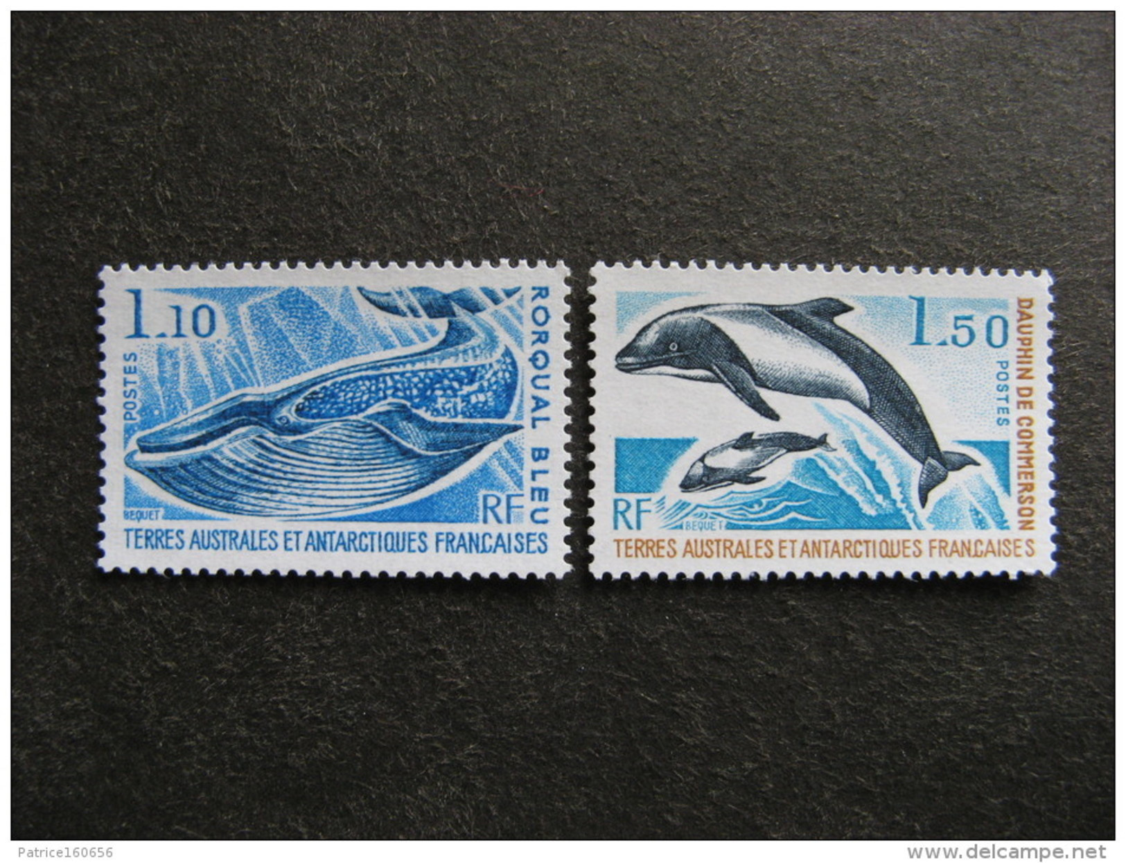TAAF: TB Paire N° 64 Et N° 65, Neufs XX. - Unused Stamps