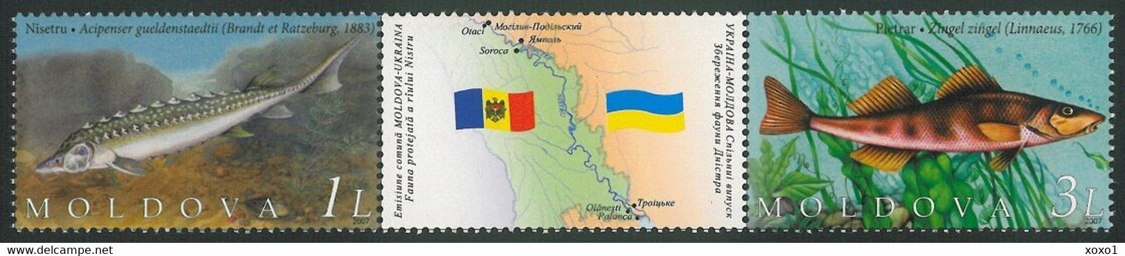 Moldova 2007 MiNr. 595 - 596  Moldawien Fauna Of The Nistru River Fish Joint Issue With Ukraine 2 MNH ** 3,30 € - Moldavië