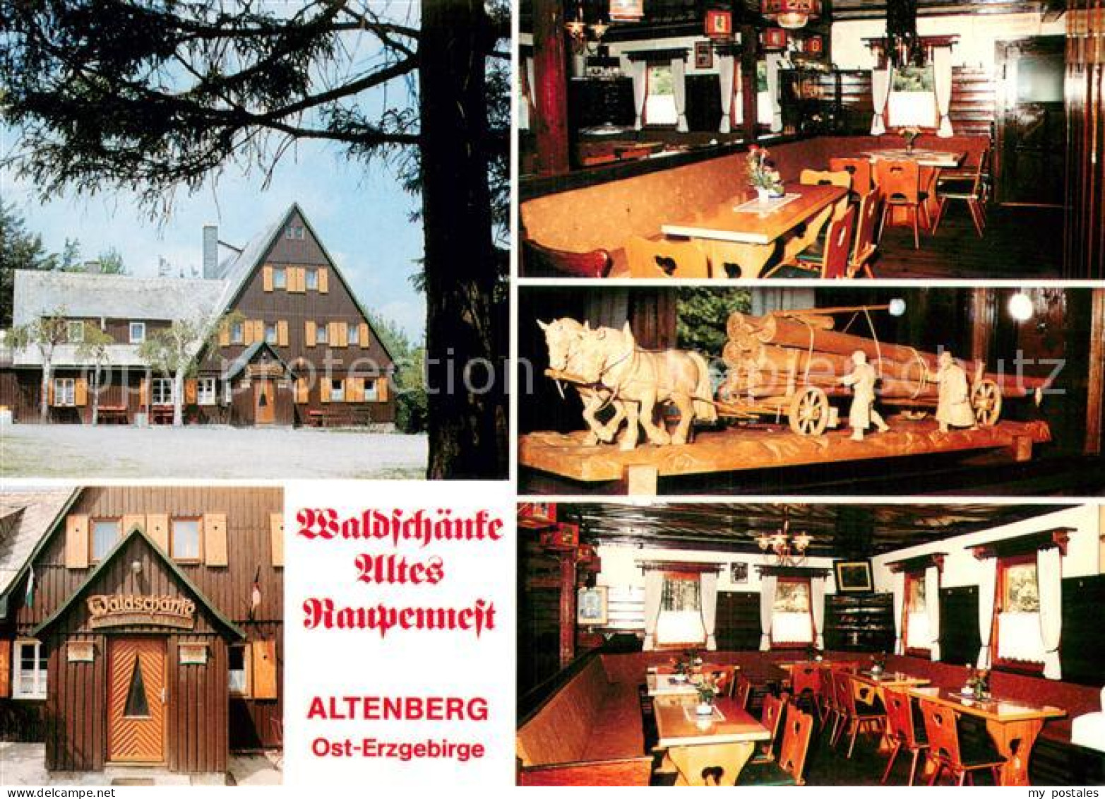 73742649 Altenberg Erzgebirge Waldschaenke Altes Raupennest Eingangstuer Gastrae - Geising