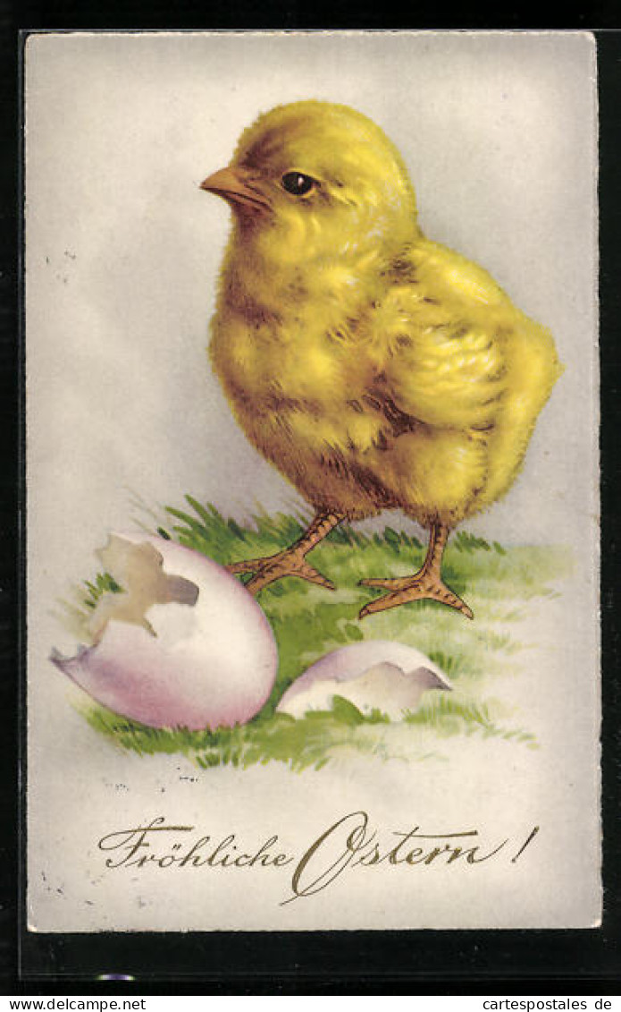 AK Osterküken Mit Zerbrochener Eierschale  - Easter
