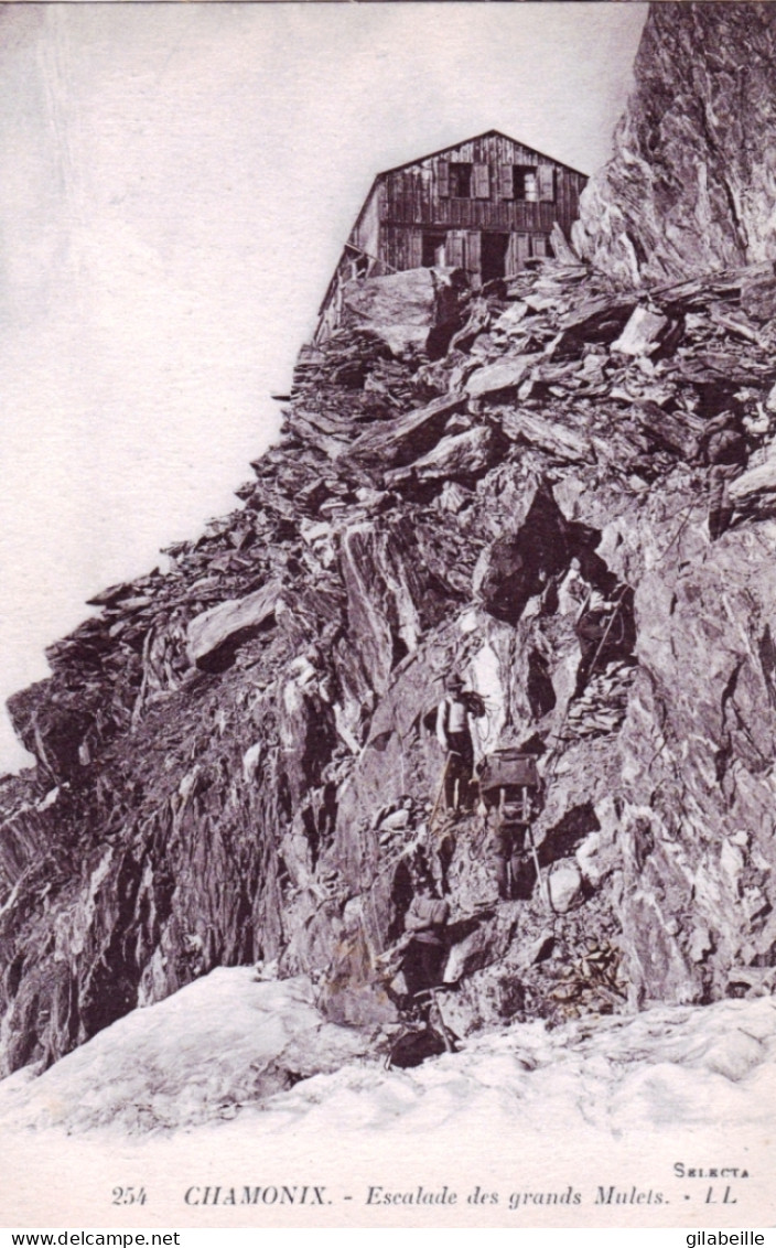 74 - CHAMONIX -  Escalade Des Grands Mulets - Alpinisme - Chamonix-Mont-Blanc